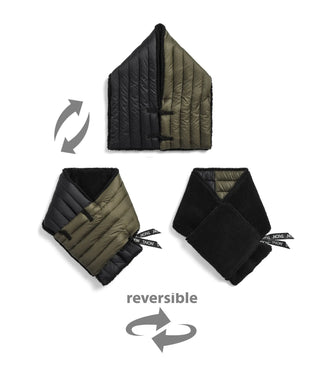 color_クレイジー