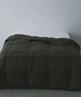 <ルームダウン> ダウン掛け布団 クッションカバー付き（セミダブルサイズ〜ダブルサイズ向け）<TAION-H210W145-DIC>