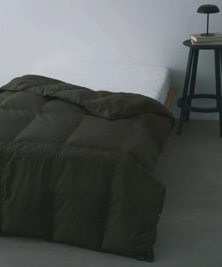 <ルームダウン> ダウン掛け布団 クッションカバー付き（セミダブルサイズ〜ダブルサイズ向け）<TAION-H210W145-DIC>