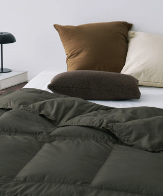 <ルームダウン> ダウン掛け布団 クッションカバー付き（セミダブルサイズ〜ダブルサイズ向け）<TAION-H210W145-DIC>