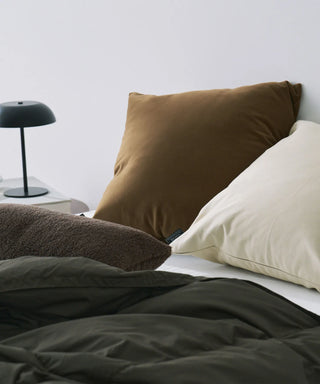 <ルームダウン> ダウン掛け布団 クッションカバー付き（セミダブルサイズ〜ダブルサイズ向け）<TAION-H210W145-DIC>