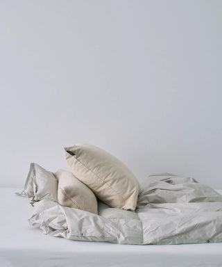 <ルームダウン> ダウン膝掛け クッションカバー付き（ブランケットサイズ）<TAION-H105W145-DIC>