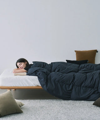 <ルームダウン> ダウン掛け布団 クッションカバー付き（セミダブルサイズ〜ダブルサイズ向け）<TAION-H210W145-DIC>