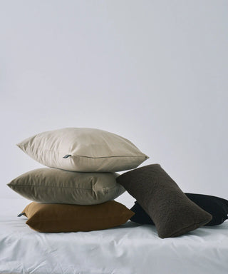 <ルームダウン> ダウン掛け布団 クッションカバー付き（セミダブルサイズ〜ダブルサイズ向け）<TAION-H210W145-DIC>