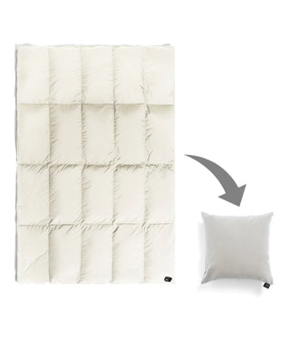 オフホワイト-ライトグレーベロアクッション