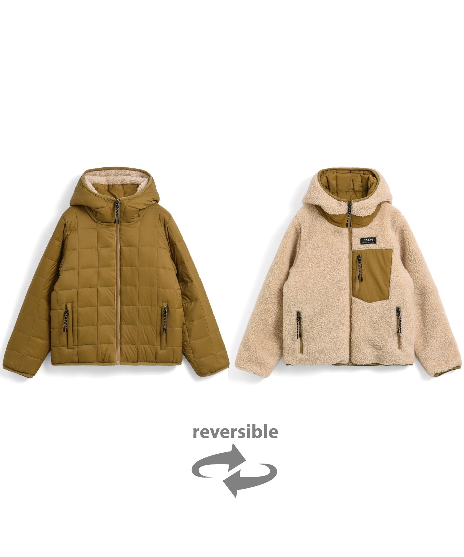 color_코요테×크림