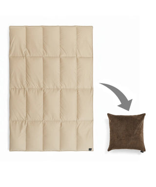 color_ライトベージュ